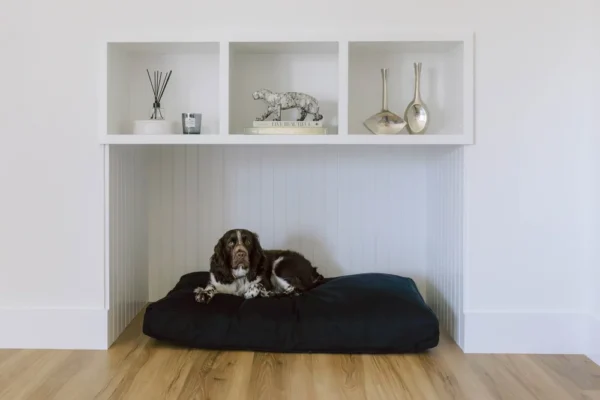 170_Maria_DeForrest_2024+2